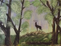 a la lisiere du bois - animaux