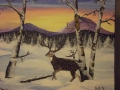 le cerf - animaux