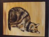 amour - animaux