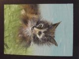 boule de poils - animaux